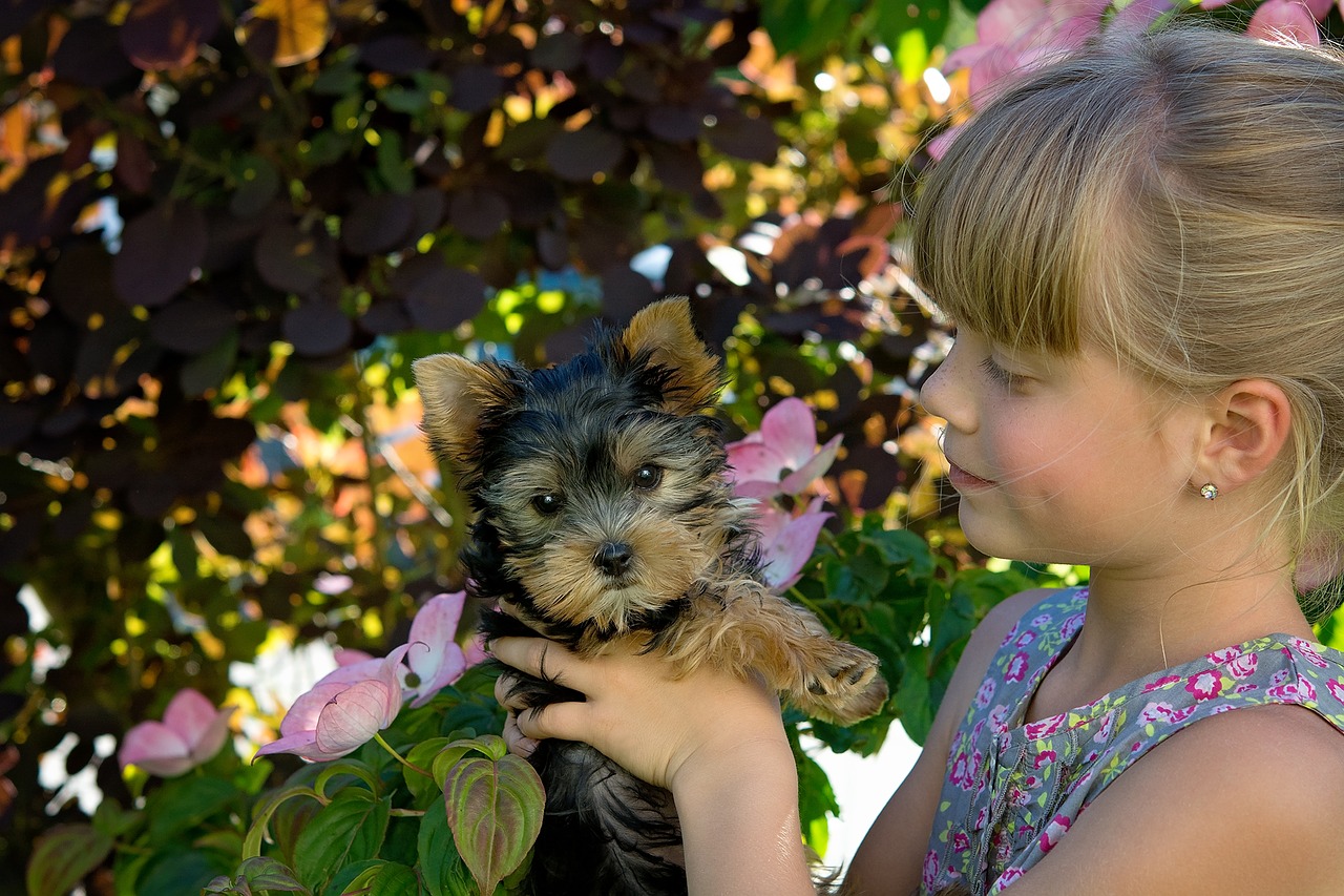 Are Yorkies Good With Kids? My 